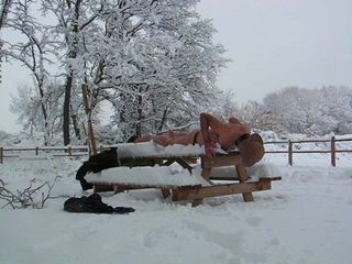 Mostra dura, nuda nella neve fresca