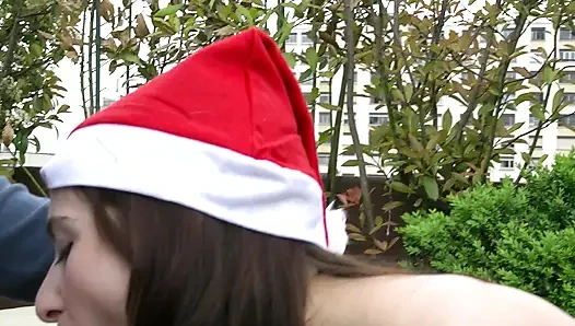 Рождественская жажда в саду, факты членов