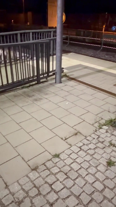 Random Reunion at the Train Station We Couldn't Oppose