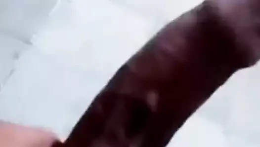 Single endowed by Torreón Coahuila