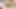 BIG ASS BBW GETTING MASSAGED