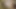 Asiansexdiary yaramaz Asyalı orta yaşlı seksi kadın yabancı yarak becerilerini kullanıyor