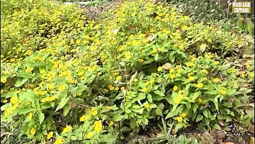 Ländliche Flucht, wo freigeistige reife frauen die freiheit des erwachsenen im freien umarmen - szene 4