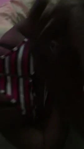 Freaky Gyal Tied Blindfolded Backshot