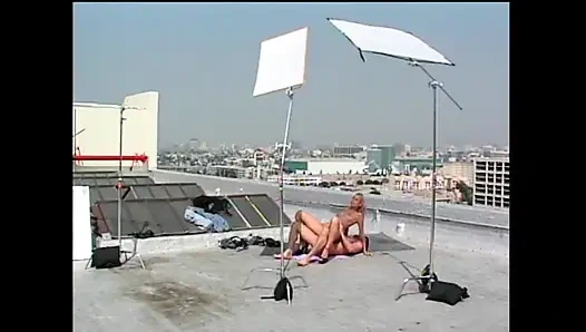 Работа выполнена хорошо