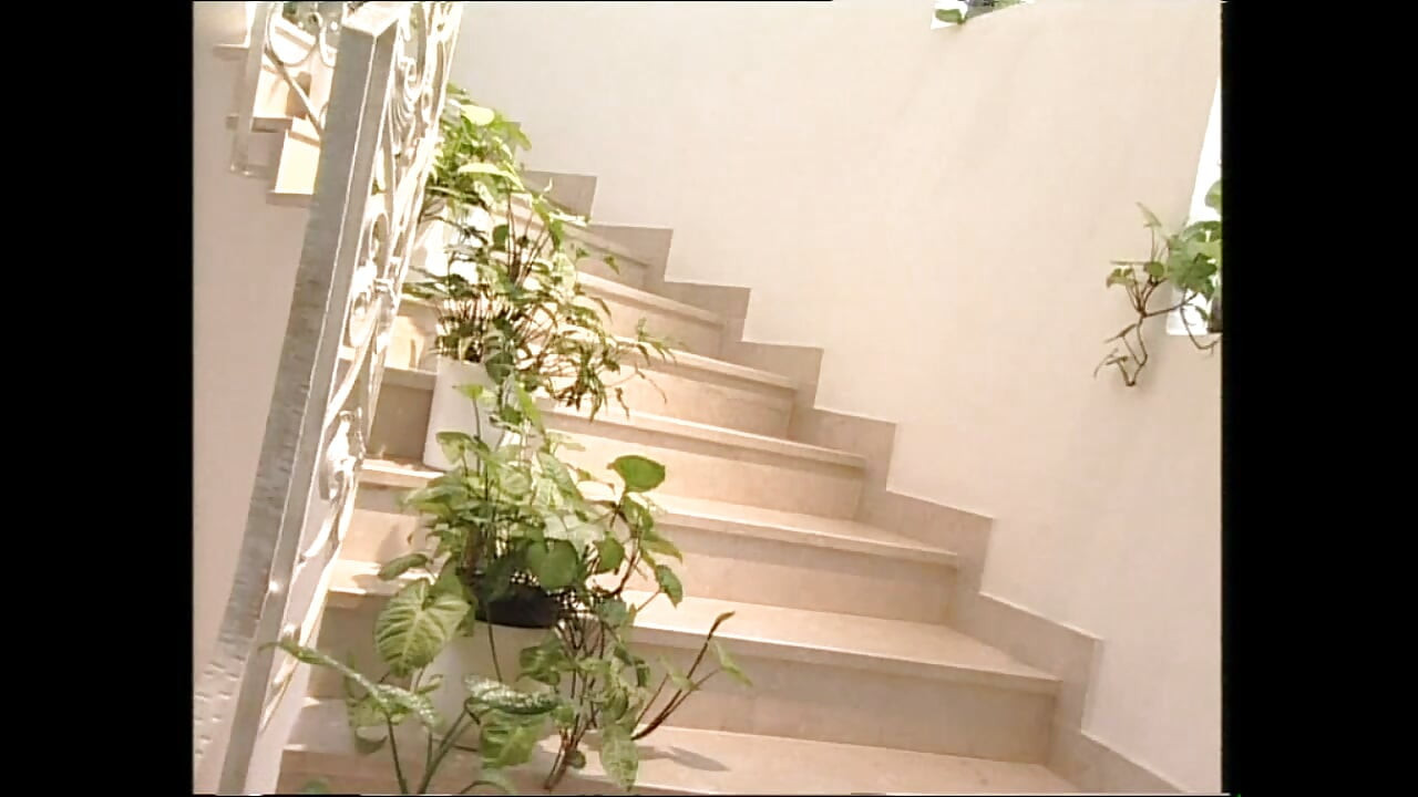 Kinh doanh cho những người phải đụ máy bay bà già vú to xinh đẹp