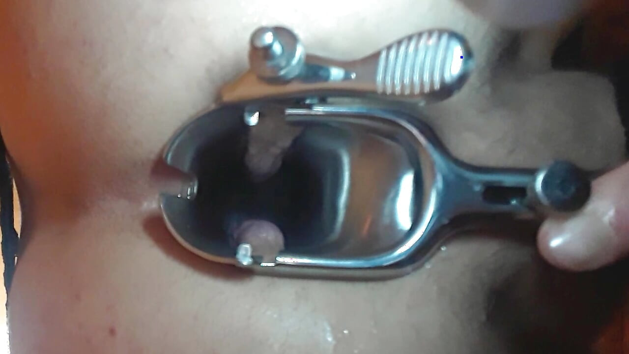 Speculum dan Prolax