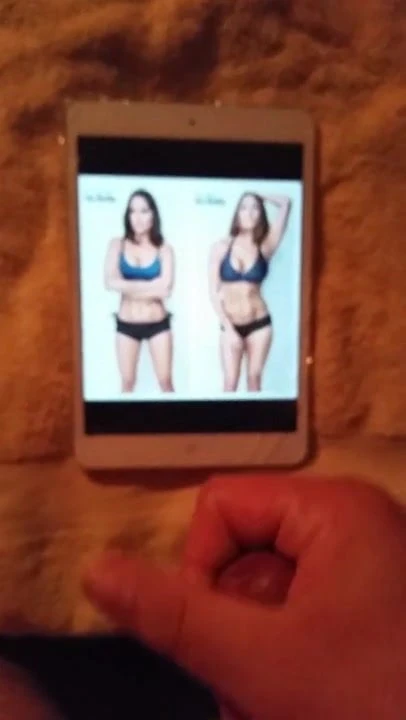 WWE Bella Twins cum tribute #2