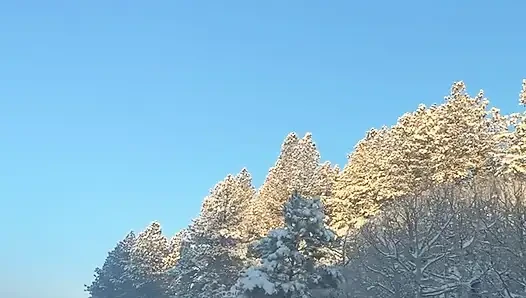Outdoor hot tub with step mom