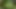 Kokoro ogre goblin canavar tarafından sert sikiliyor - animasyon