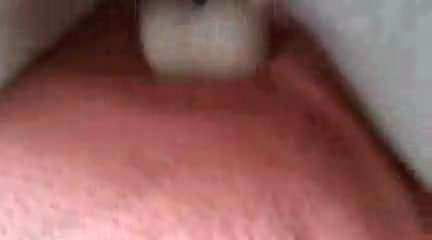 Dildo Geritten