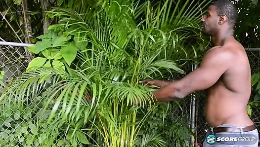 Apa yang akan Zoraya mantan suami katakan jika dia bisa melihatnya sekarang?