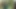 Stranger Arouses, Sucks and Fucks Hard in the Forest