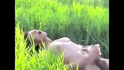 Çimlerdeki ihtişam
