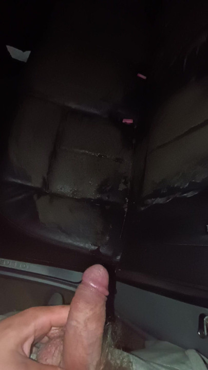 my lovely pissing on muddy car seats