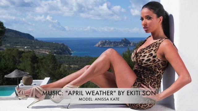 THE BEAUTIFUL ANISSA KATE