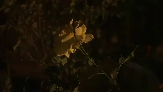 Blonde babe deepthroats his hard cock