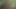 Amateur german milf sucks dick in the forest
