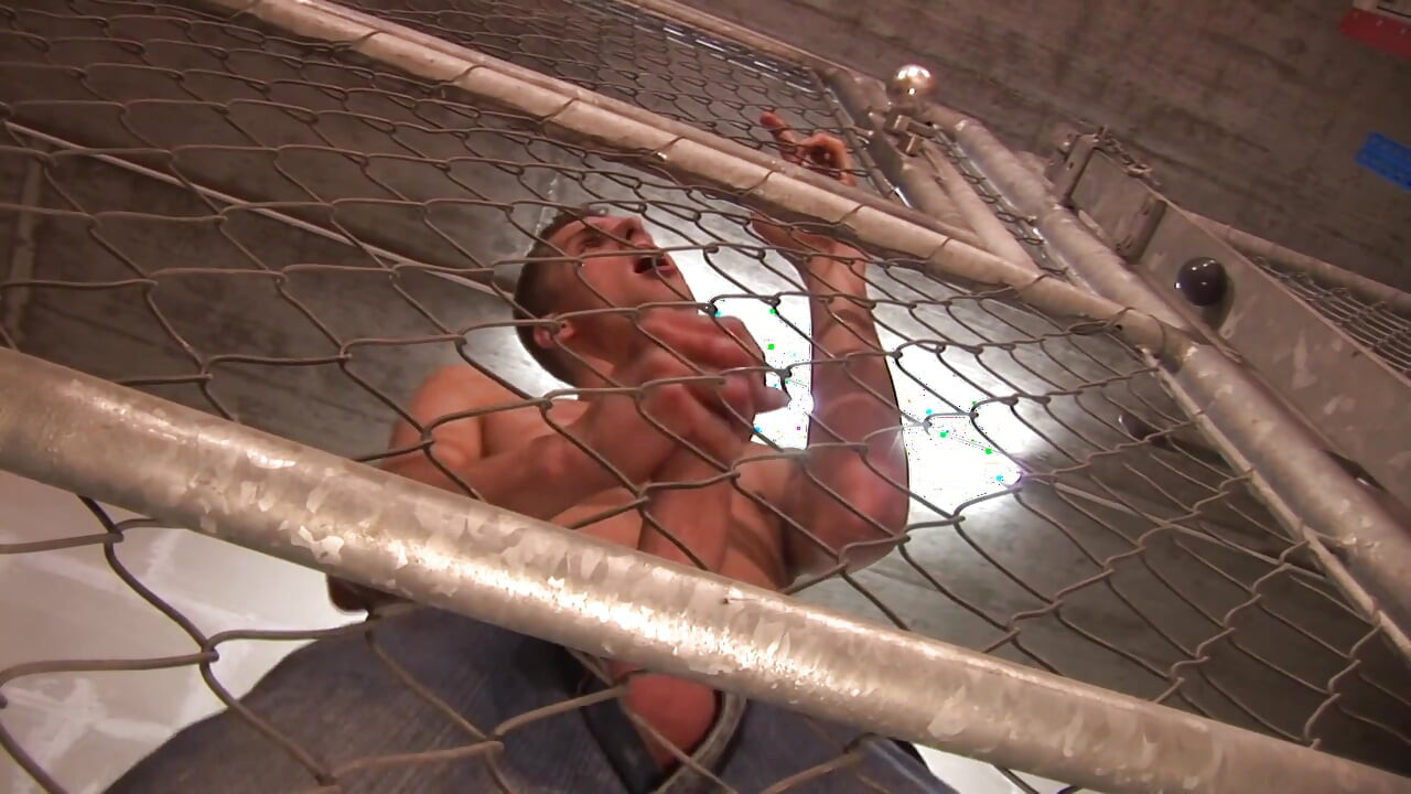 เกย์ในงาน