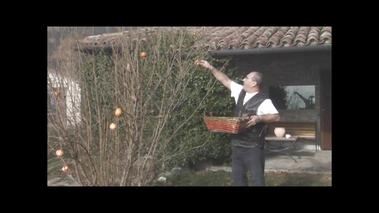 مغامرات مونيلا وعائلتها الزوجية 02