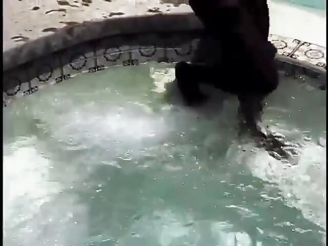 Pejantan gay terangsang menjadi terangsang di tepi kolam renang dan bercinta dengan keras