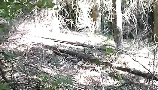 Memek bejat cewek rambut cokelat ini dientot habis-habisan di taman