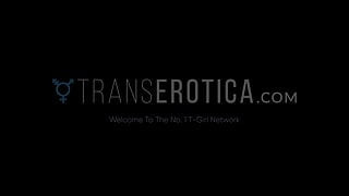 Trans Erotica