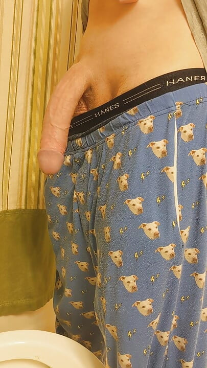 Piddly 오줌