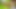 Chhoti Step Sister Treval In Jungle With her Stepbrother, And Fucking In Jungle, Stepsister Fucking So Good