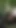 Jaw-dropping moment from "MATURE4K. Texas Patti is having wild kinky sex in the Czech woods"