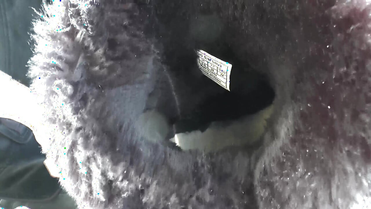 Дуже смердючі фути хутряних чобіт! У чоботах пахне і ніжно, леді Вікторія Валенте