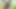 Gardener gets ass fucked ruggedly by his boss and has a brilliant cumshot