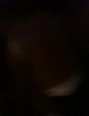 ALGERIAN GANGSTER 2