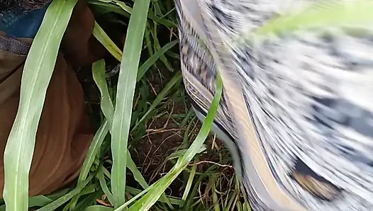 In the millet field, my elder sister-in-law sucked the cock and ass Mari opened the field of millet and killed my sister-in-law's ass