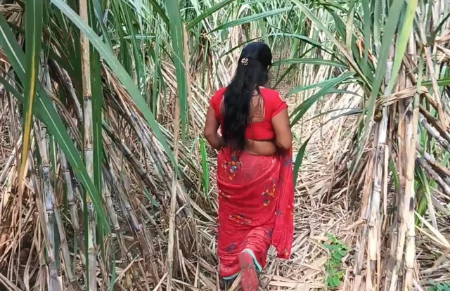 My step mom in sugarcane farming