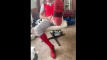 Pregled videozapisa