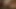 Latina hatun sevgilisinin kertenkelesini satmaya çalışıyor - xxx piyon