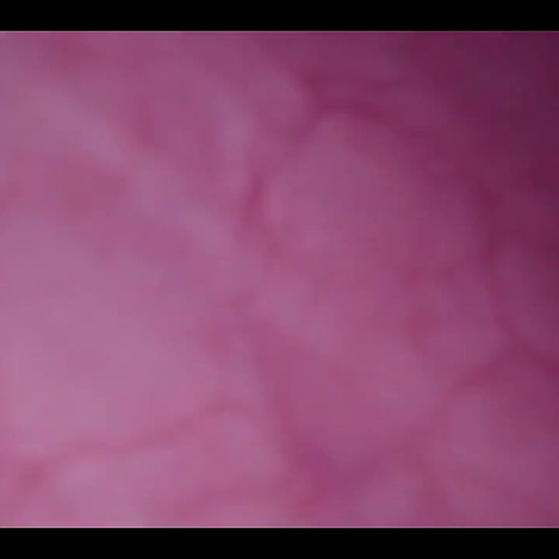Jebana u moju pičku, kamera u mjehuru, luda izbočina!