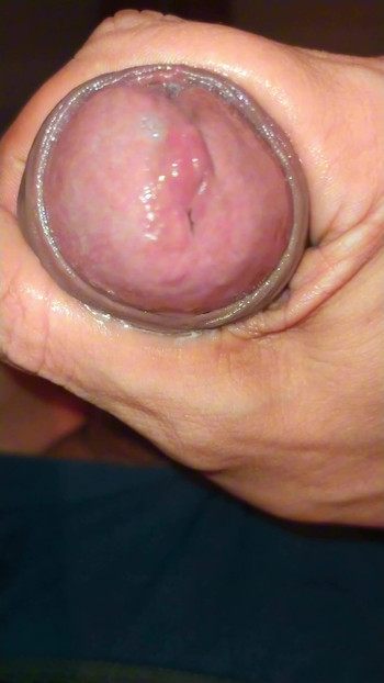 私の蜂蜜を飲みに来てください!