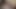 Trei tipi grași și păroase își sug pulele până când ejaculează (teaser)