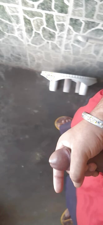 rutina de zi cu zi a surdmasterului se distrează foarte mult făcând labă