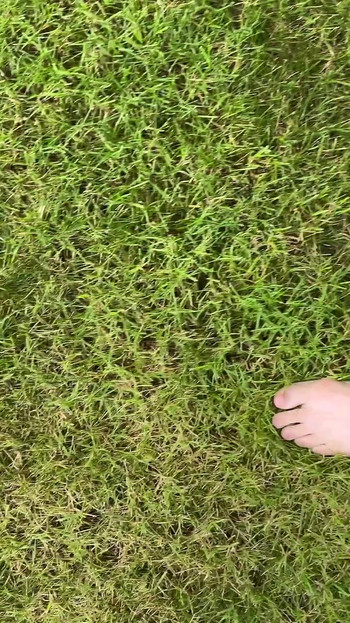 Walking Barefoot on the Grass
