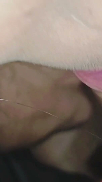 My hot wife sucking my dick land ki chusae | Clip 1
