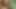 White guy fucks big Asian girl in his backyard