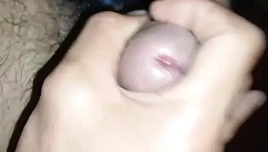 A Squirrel's Tail Finally Comes To An End