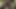I love being naked in the woods and masturbating