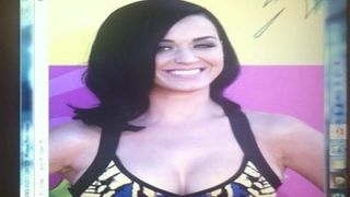 Hołd Katy Perry 3