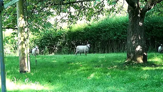 Horny Housewives Double Penetration Orgy