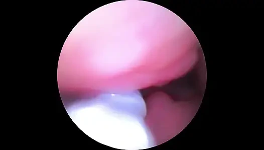 Camera in the! Exploring Gianna