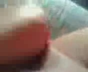 Fat bird squirting